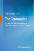 The Centrosome