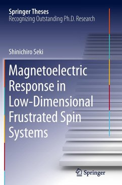 Magnetoelectric Response in Low-Dimensional Frustrated Spin Systems - Seki, Shinichiro