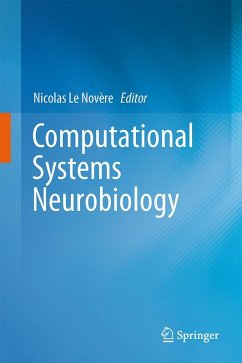 Cover Computational Systems Neurobiology
