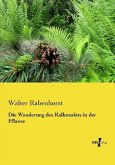 Die Wanderung des Kalkoxalats in der Pflanze