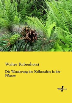 Die Wanderung des Kalkoxalats in der Pflanze - Rabenhorst, Walter