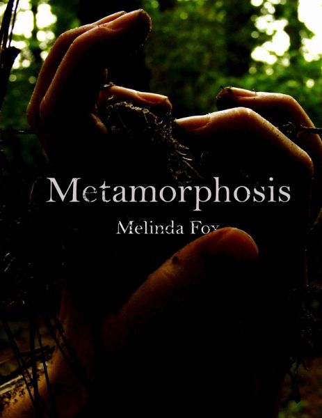 Metamorphosis (eBook, ePUB)
