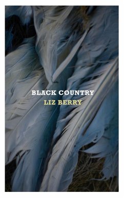 Black Country (eBook, ePUB) - Berry, Liz