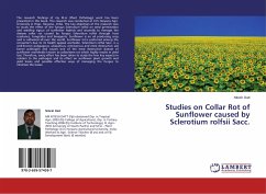 Studies on Collar Rot of Sunflower caused by Sclerotium rolfsii Sacc.