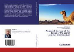Angioarchiitecture of the Lungs of the Camel (camelus dromedarius) - Ibrahim, Dalia;Fath El-bab, Mohammad Rashad;Salem, Ahmed Omar