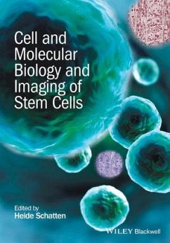 Cell and Molecular Biology and Imaging of Stem Cells (eBook, ePUB)