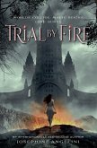 Trial by Fire (eBook, ePUB)