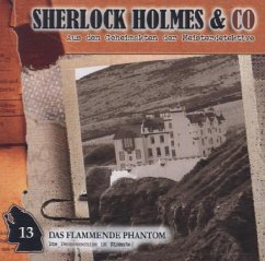 Sherlock Holmes & Co - Das flammende Phantom - Futrelle, Jacques