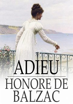 Cover Adieu (eBook, ePUB)