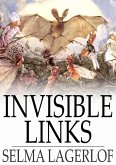 Invisible Links (eBook, ePUB)
