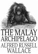 Malay Archipelago (eBook, ePUB) - Bild 1