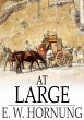 At Large (eBook, ePUB) - Bild 1