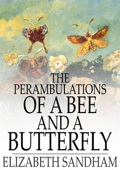 Cover Perambulations of a Bee and a Butterfly (eBook, ePUB)