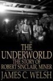 Underworld (eBook, PDF)