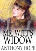 Mr. Witt's Widow (eBook, ePUB)