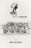 In a Landscape (eBook, ePUB)