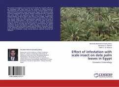 Effect of infestation with scale insect on date palm leaves in Egypt