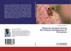 Molecular Analysis During the Embryo Development of Honeybees