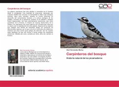 Carpinteros del bosque - Hernández Muñoz, Abel