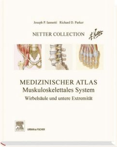 Medizinischer Atlas, Muskuloskelettales System - Iannotti, Joseph P.; Parker, Richard D.