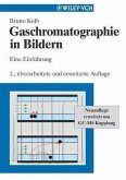 Gaschromatographie in Bildern (eBook, PDF)