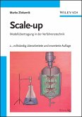 Scale-up (eBook, ePUB)