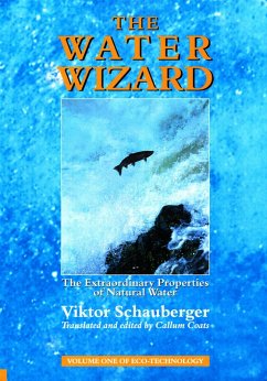 The Water Wizard - The Extraordinary Properties of Natural Water (eBook, ePUB) - Schauberger, Viktor