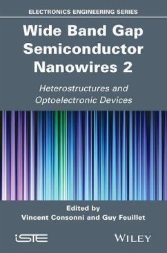 Wide Band Gap Semiconductor Nanowires 2 (eBook, PDF)