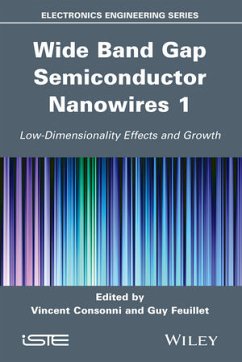 Wide Band Gap Semiconductor Nanowires 1 (eBook, ePUB)