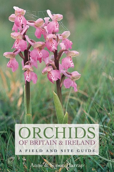Orchids of Britain and Ireland (eBook, PDF) Orchids of Britain and Ireland (eBook, PDF)