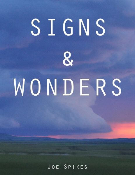 Signs & Wonders (eBook, ePUB) Signs & Wonders (eBook, ePUB)