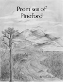 Promises of Pineford (eBook, ePUB)