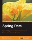 Spring Data (eBook, ePUB)