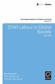 Child Labour in Global Society (eBook, ePUB)