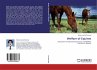 Welfare of Equines - Bild 1