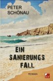 Ein Sanierungsfall