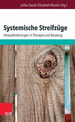 Systemische Streifzüge (eBook, PDF)