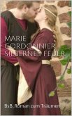 Silbernes Feuer (eBook, ePUB)