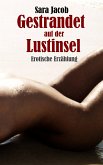 Gestrandet auf der Lustinsel (eBook, ePUB)