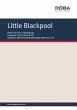 Little Blackpool (eBook, ePUB) - Bild 1