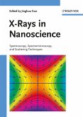 X-Rays in Nanoscience (eBook, ePUB)