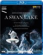 A Swan Lake - Bild 1
