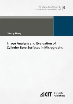 Image Analysis and Evaluation of Cylinder Bore Surfaces in Micrographs - Wang, Limeng