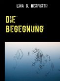 Die Begegnung (eBook, ePUB)