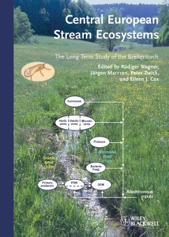 Central European Stream Ecosystems (eBook, ePUB)