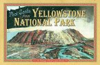 Post Cards from Yellowstone: A Vintage Post Card Book