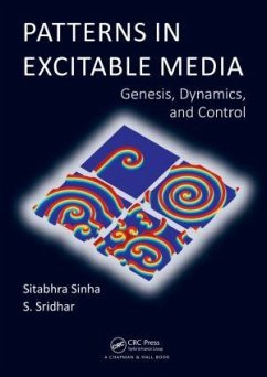 Patterns in Excitable Media - Sinha, Sitabhra; Sridhar, S.