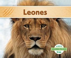 Cover Leones (Lions)