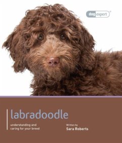Cover Labradoodle - Dog Expert