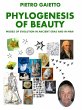 Phylogensesis of Beauty - Bild 1